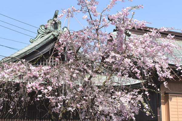 鎮西大社　諏訪神社