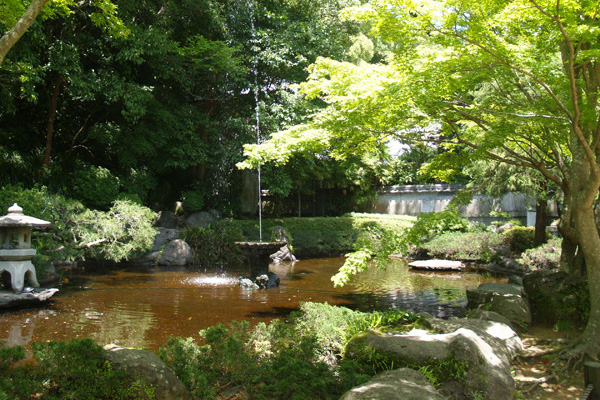 鎮西大社　諏訪神社